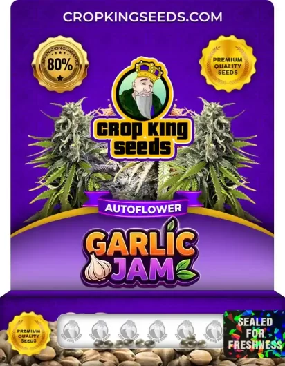 garlic-jam-autoflower-image