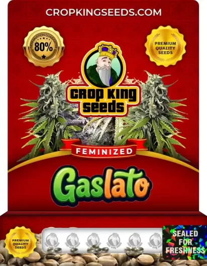 gaslato-image