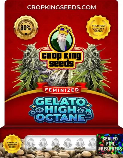 gelato-high-octane-image