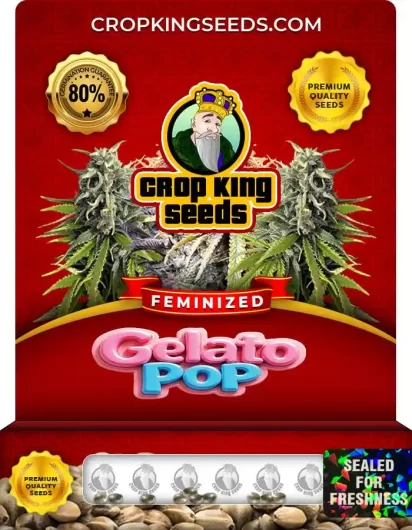 gelato-pop-image