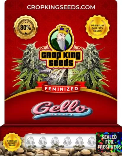 gello-gelato-image