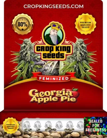 georgia-apple-pie-image