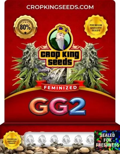 GG2