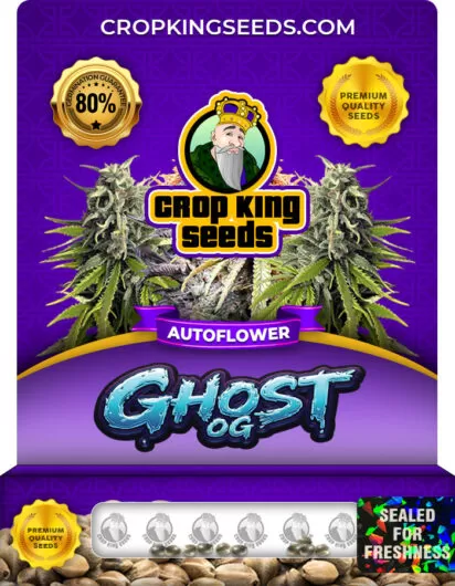 ghost-og-autoflower-image