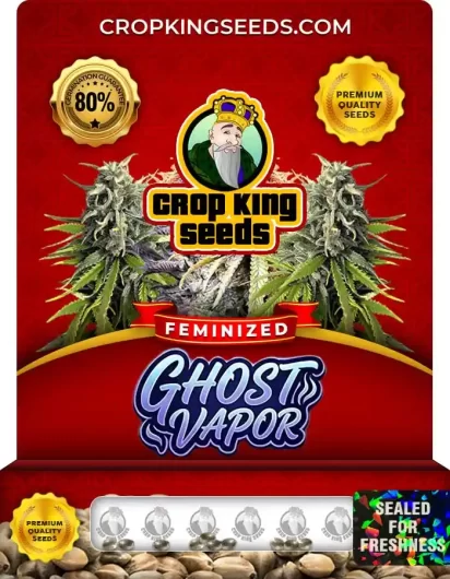 ghost-vapor-image