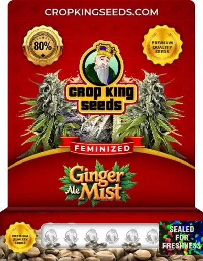 Ginger Ale Mist