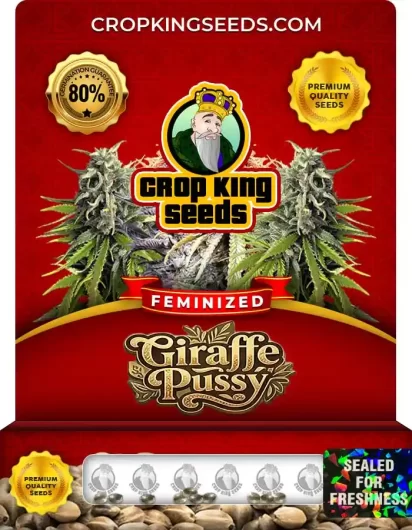 giraffe-pussy-image