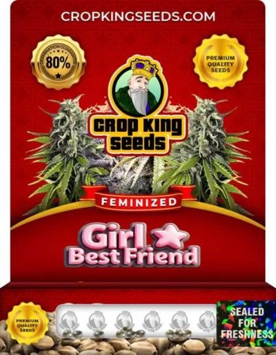 Girl Best Friend