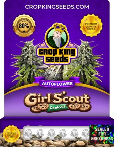Girl Scout Cookies Autoflower