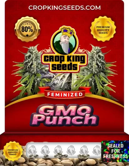 gmo-punch-image