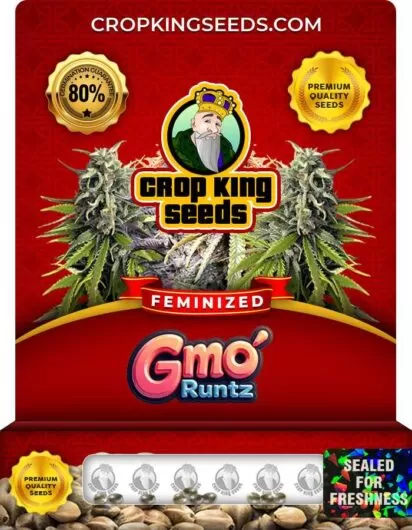 gmo-runtz-image