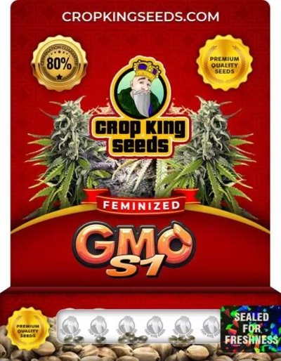 GMO S1