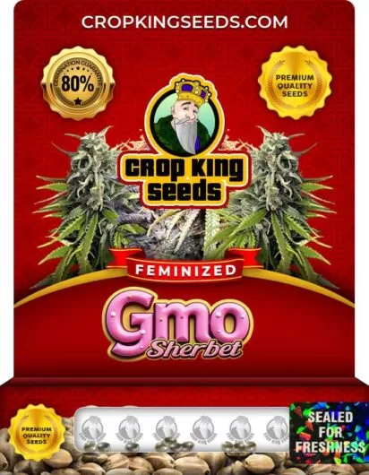 gmo-sherbet-image
