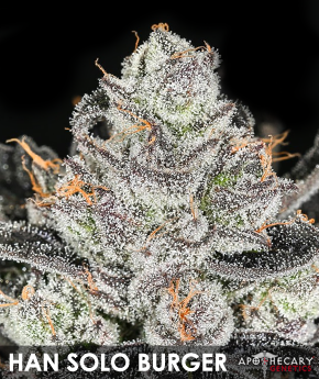 han-solo-burger-image