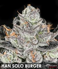 Han Solo Burger