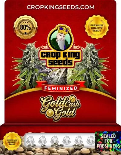 Gold Cash Gold