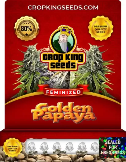 golden-papaya-image
