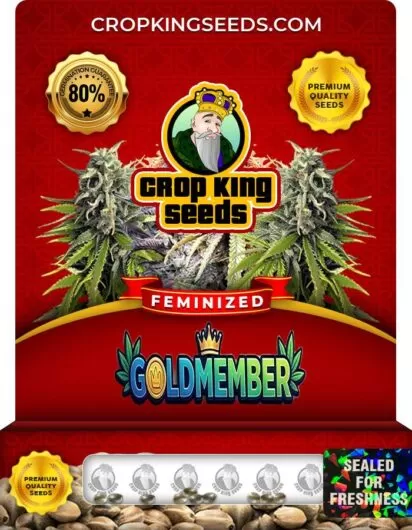 goldmember-image