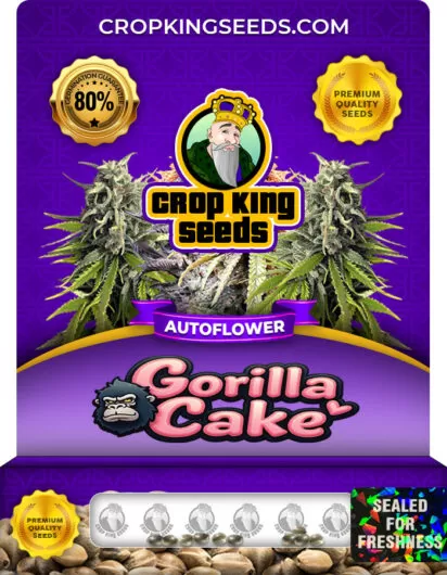 gorilla-cake-autoflower-image
