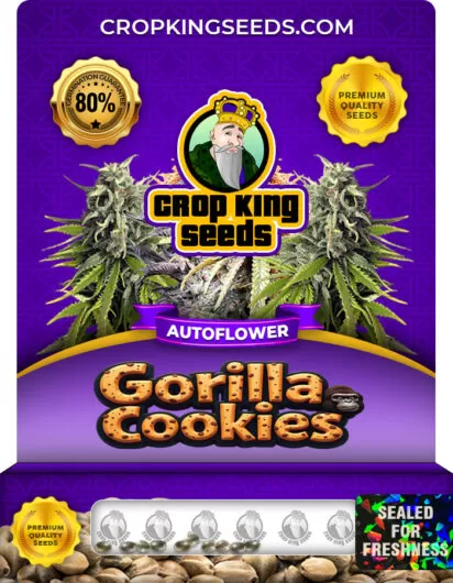 gorilla-cookies-autoflower-image