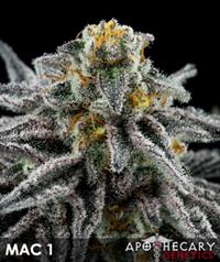 MAC 1
