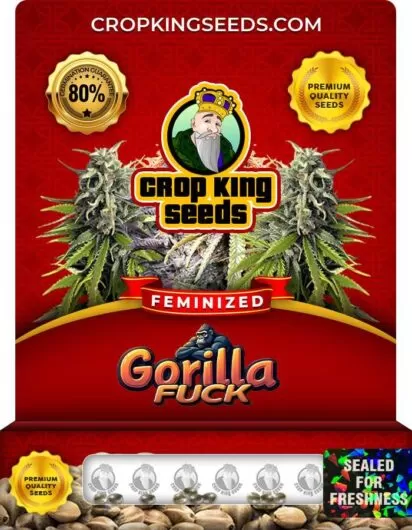 gorilla-fuck-image