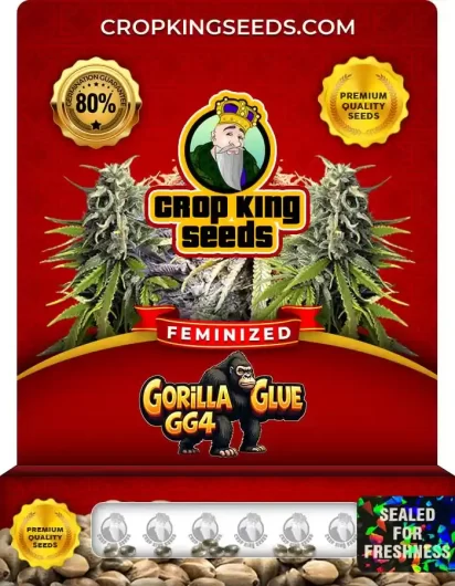 gorilla-glue-gg4-image
