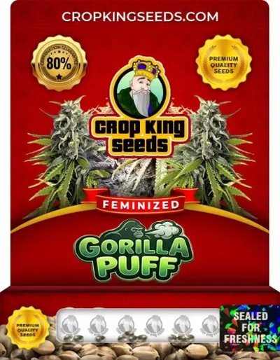 Gorilla Puff