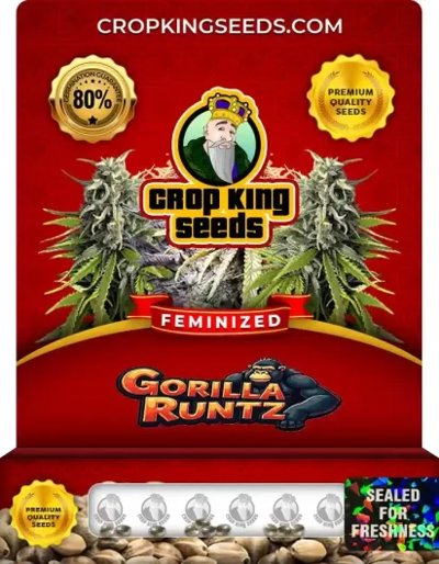 Gorilla Runtz