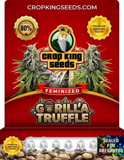gorilla-truffle-image
