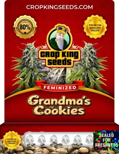grandma’s-cookies-image