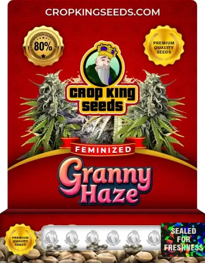granny-haze-image