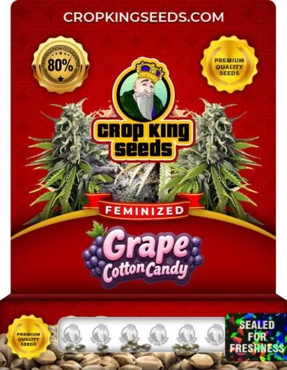 grape-cotton-candy-image