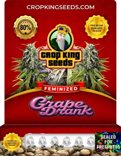 grape-drank-image