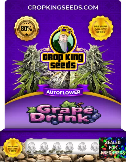 grape-drink-autoflower-image