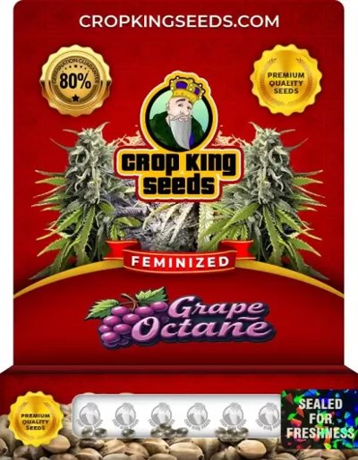Grape Octane