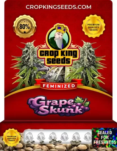 grape-skunk-image