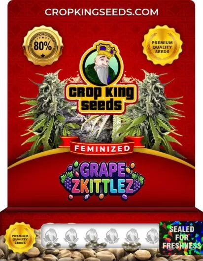 grape-zkittlez-image
