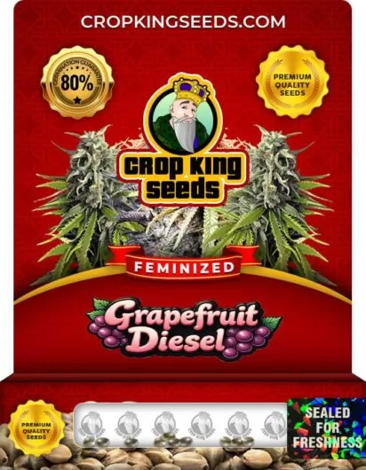 grapefruit-diesel-image