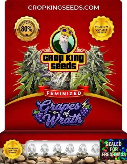 grapes-of-wrath-image