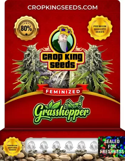 grasshopper-image