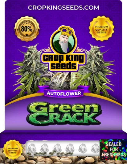 green-crack-autoflower-image