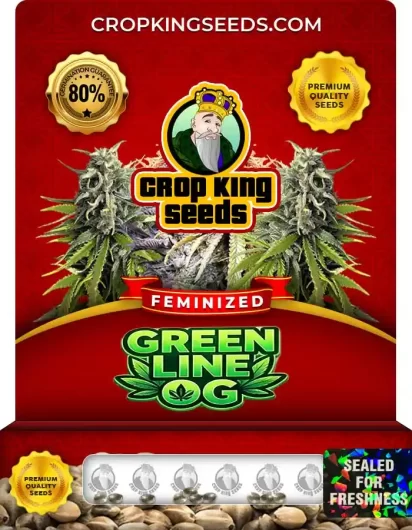 green-line-og-image