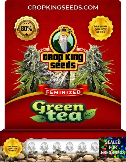 green-tea-image
