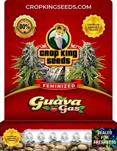 Guava Gas