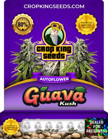 guava-kush-autoflower-image