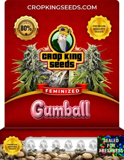 gumball-image