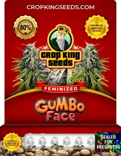 gumbo-face-image