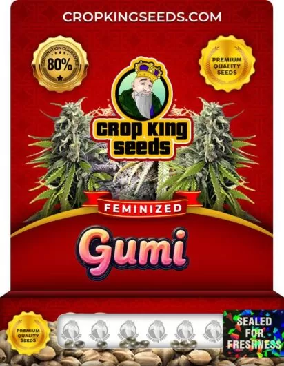 gumi-image