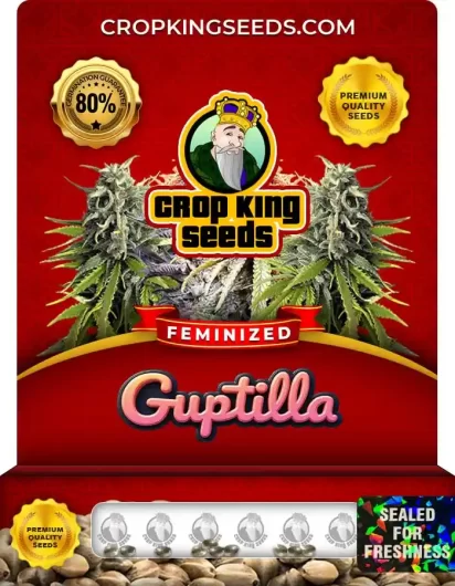guptilla-feminized-image